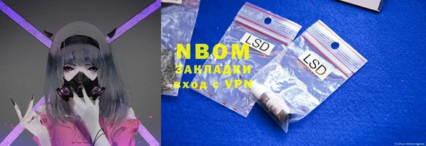 дживик Белокуриха