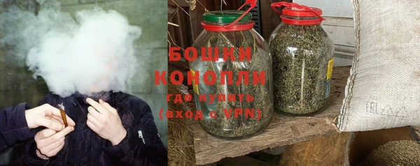дживик Белокуриха