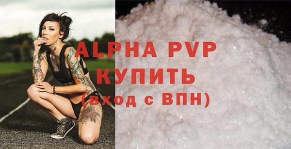 дживик Белокуриха