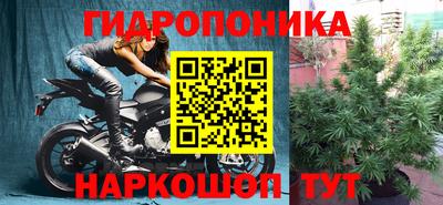 СК Пушкино